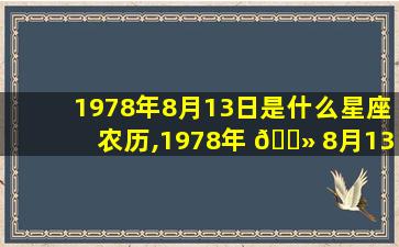 1978年8月13日是什么星座农历,1978年 🌻 8月13日阳 🌹 历出生男命运